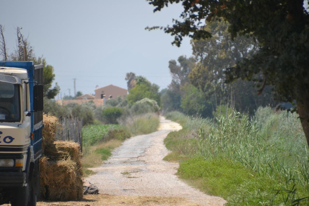 Finca Milagro Villa San Fulgencio Bagian luar foto